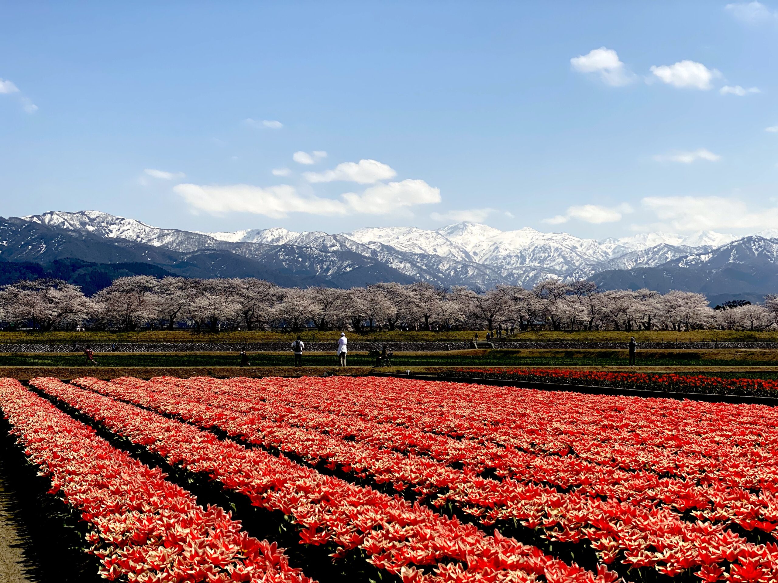 シェアハウス四重荘（朝日町） - シェアライフ富山